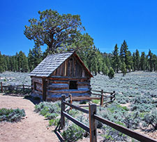 Holcomb Valley near Big Bear