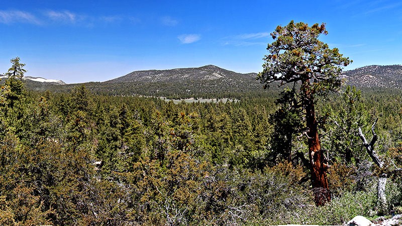 View of Holcomb Valley