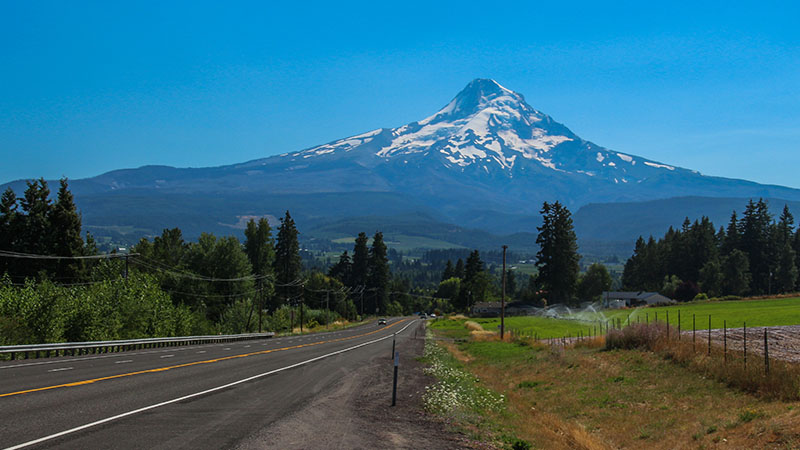 The iconic mountain of Oregon: Mt. Hood
