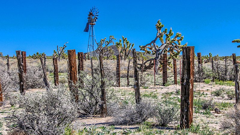 Corral along Aiken Mine Road