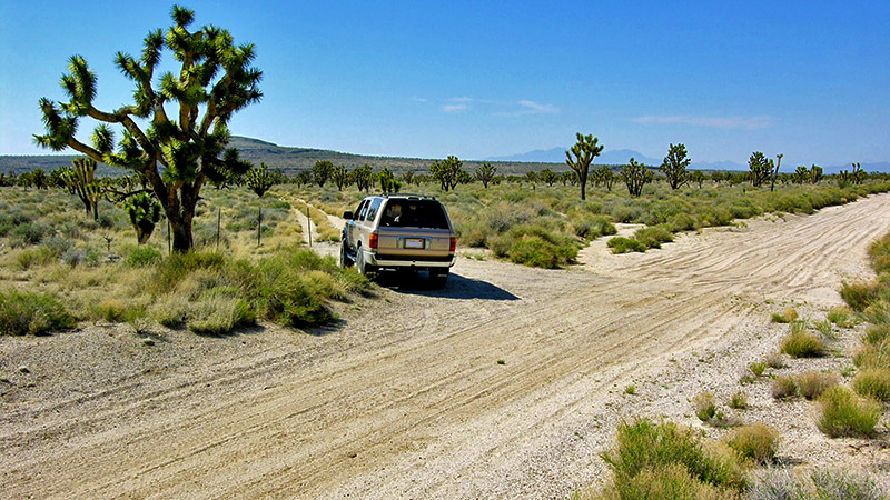 Trailhead to Cow Cove petroglyphs