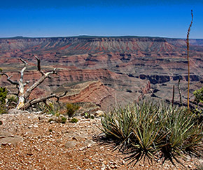 Twin Point: Little Known Overlook of the Grand Canyon