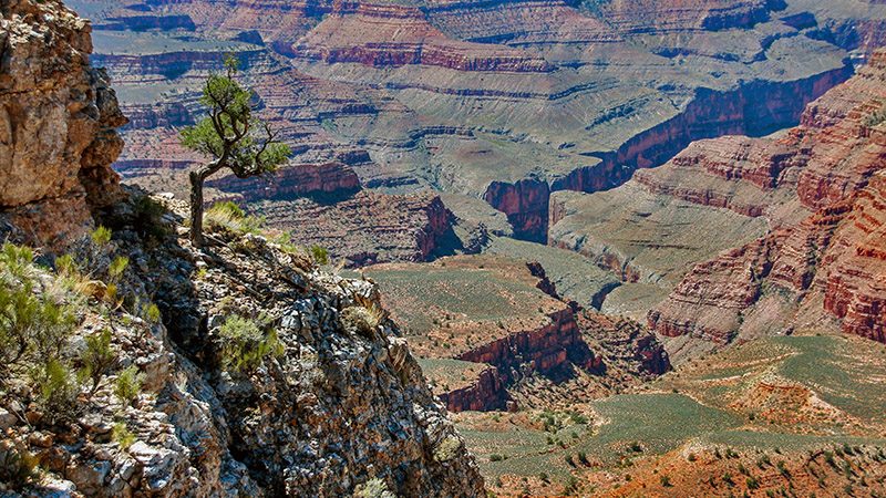 Small tree clings to side of Twin Point