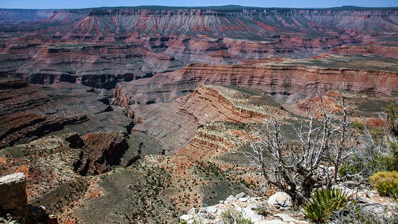 Grand Canyon from Twin Point