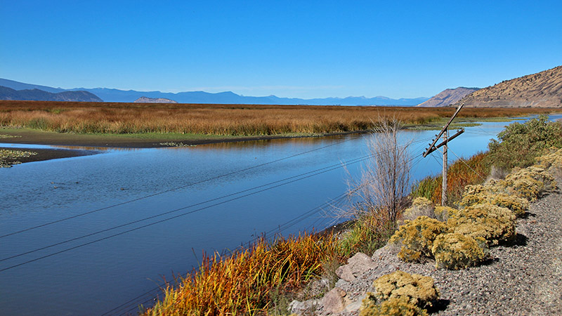 Passing by the wetlands of Klamath Lake