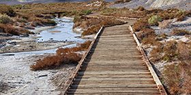 SaltTrailFeatured