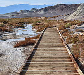 Salt Creek Trail Death Valley