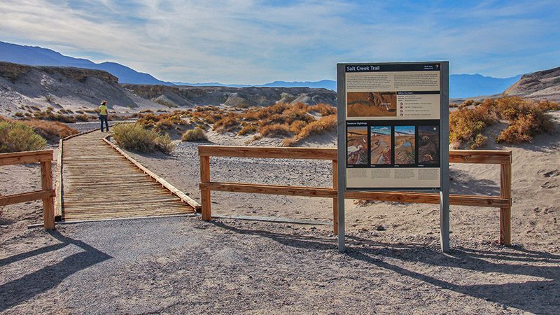 Beginning of Salt Creek Trail