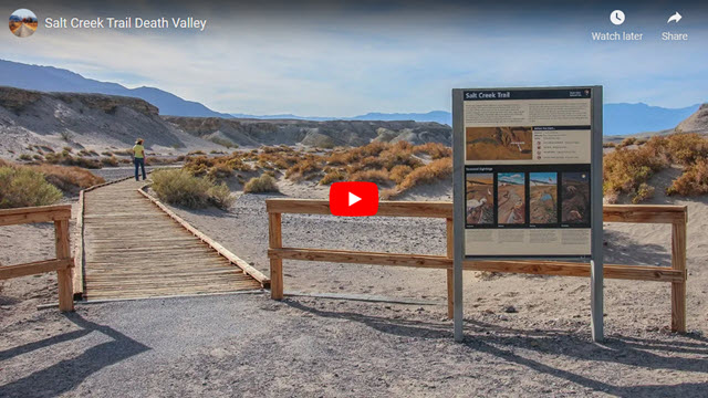 Salt Creek Trail Death Valley