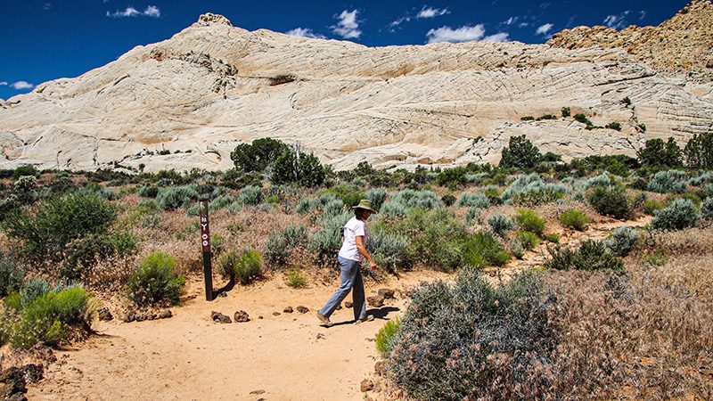 Hiking trail to White Rocks