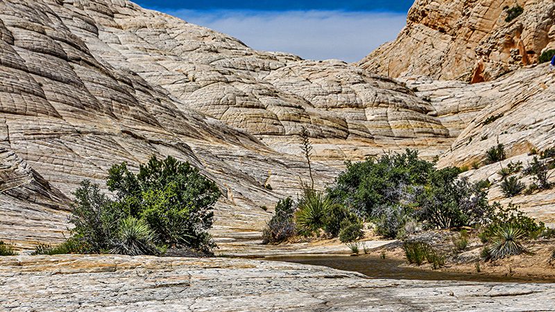 Inside White Rocks Amphitheater