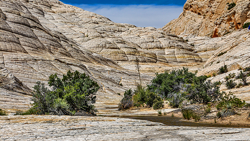 White Rocks Amphitheater in Snow Canyon 