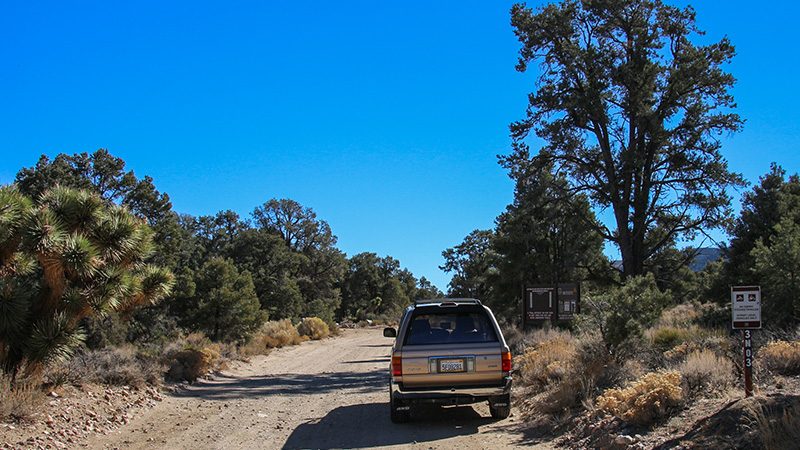 Start of our trip thru Cactus Flats