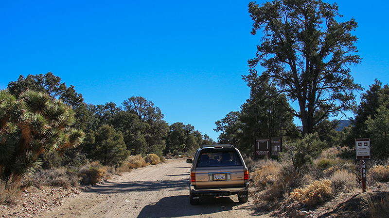 Start of our trip thru Cactus Flats