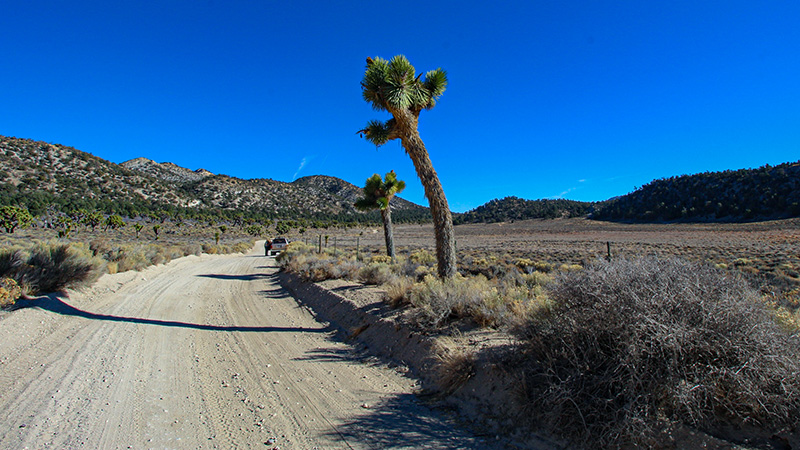 Joshua's near the Rose Mine