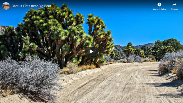 Cactus Flats near Big Bear