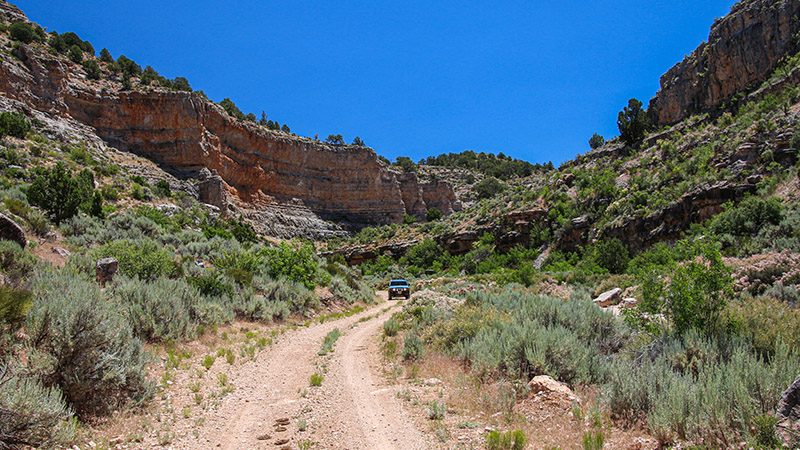 The road thru Pigeon Canyon in Grand Canyon-Parashant National Monument