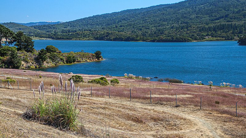 Crystal Springs Reservoir