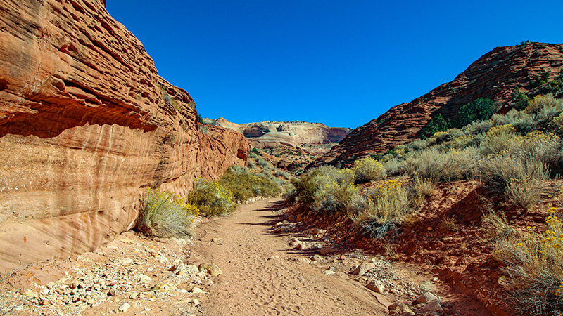 Buckskin Gulch Slot Canyon & Wire Pass