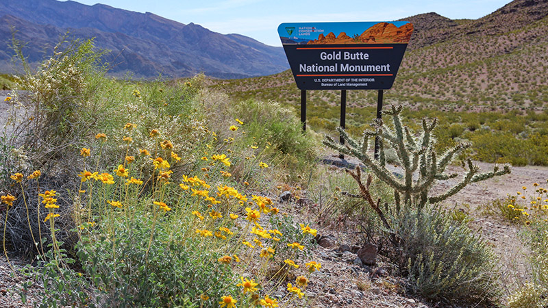 Gold Butte National Monument