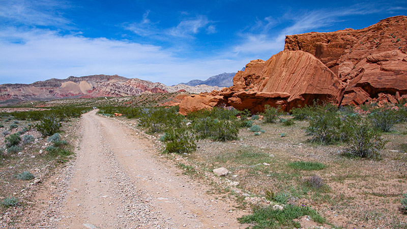 Gold Butte National Monument