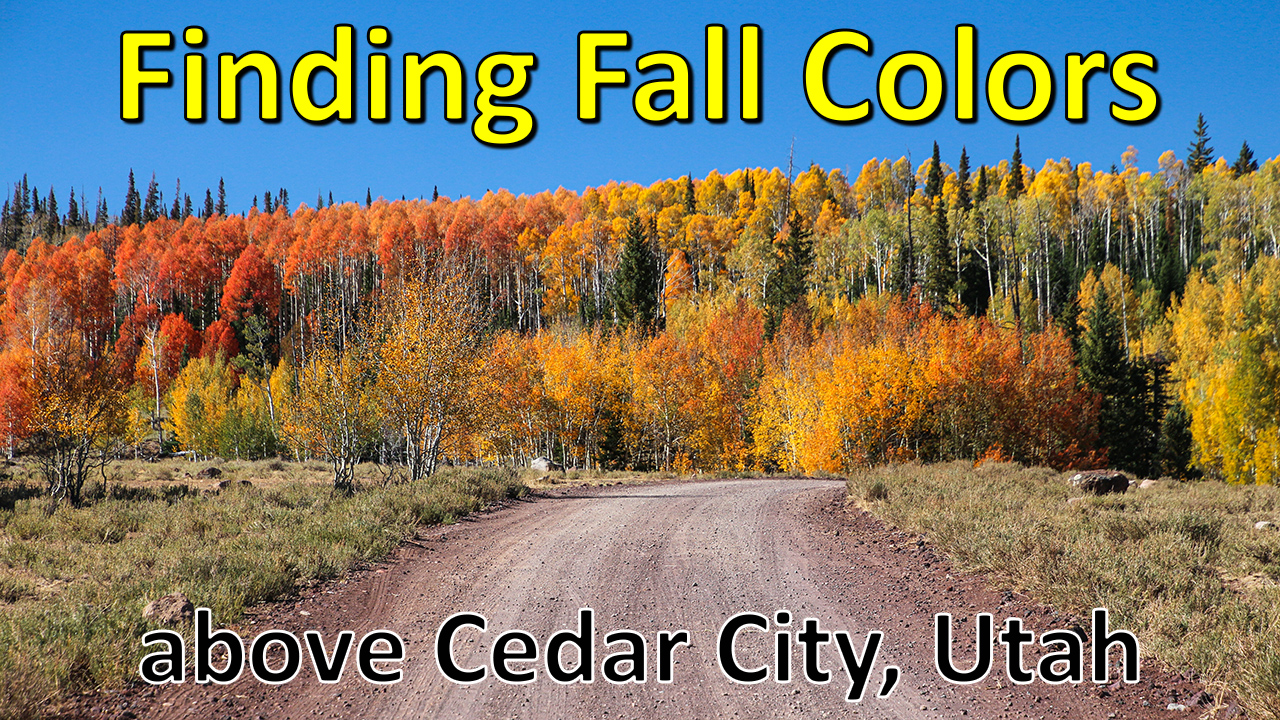 Fall Colors Above Cedar City Utah