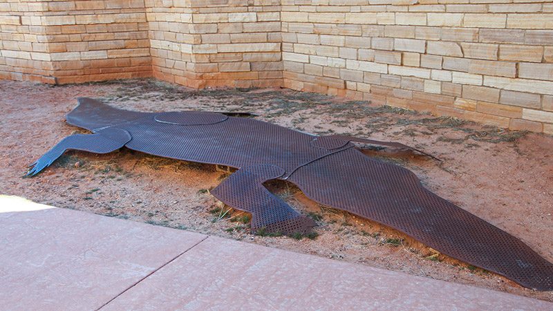 Life-size profile of dinosaur-eating crocodile