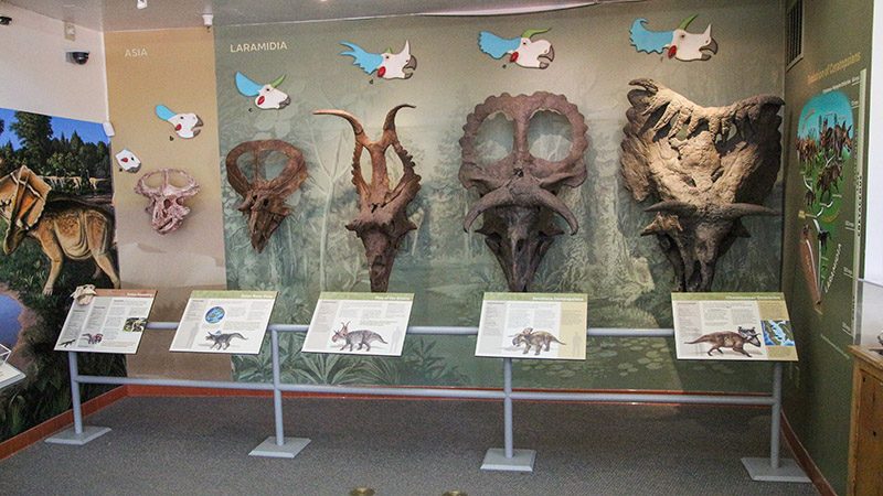 Display of dinosaurs found on the Kaiparowits Plateau