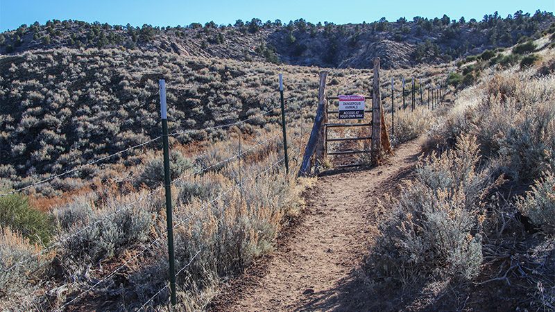 The "Dangerous Animals" sign passed alongside the trail