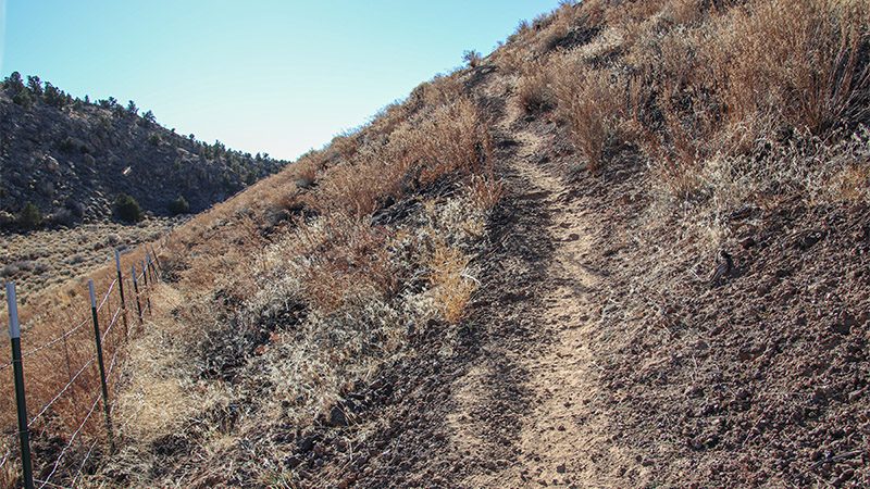 The climb up the cinder cone begins