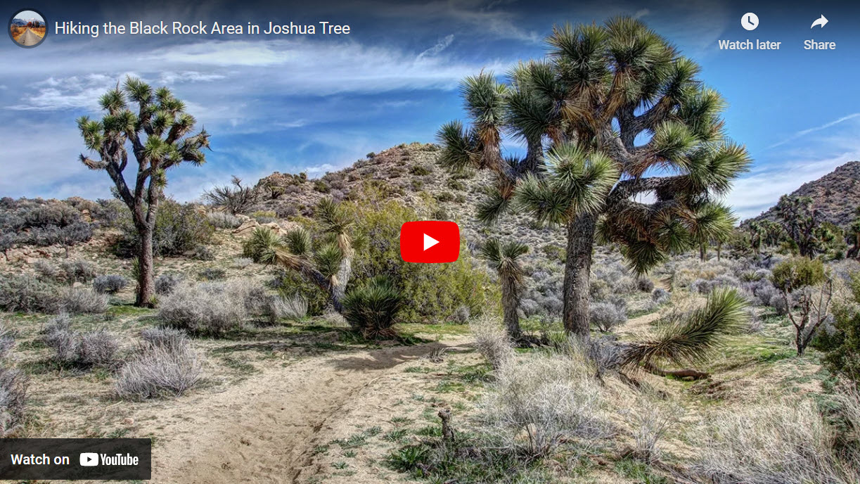 Black Rock Area in Joshua Tree