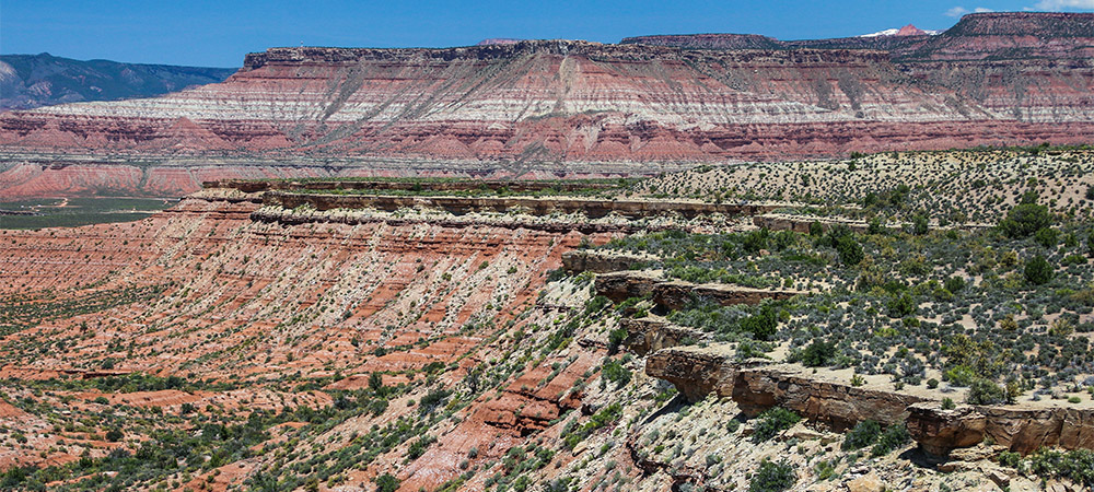 The many mesas of the Moenkopi Formation