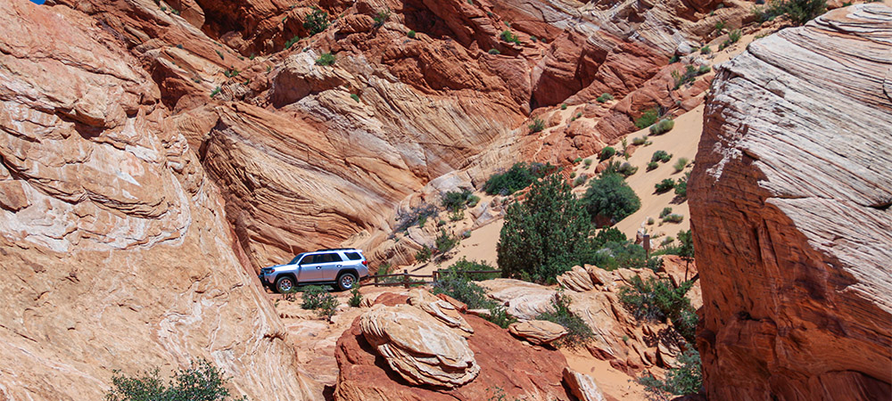 Surrounded in Navajo Sandstone