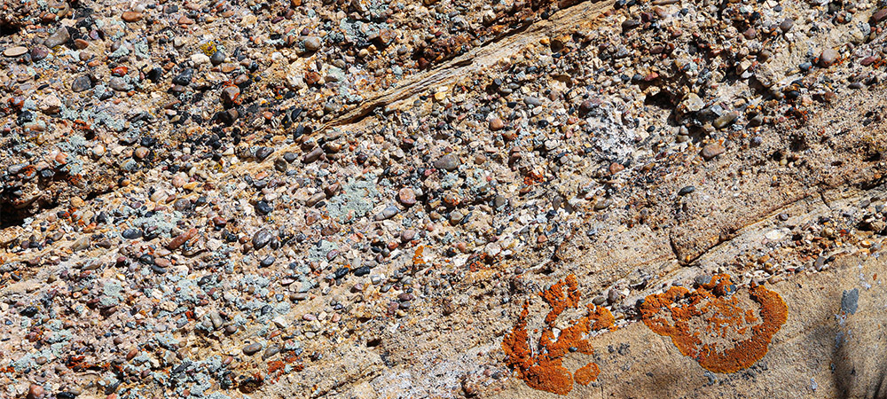 Shinarump Conglomerate & rock lichens
