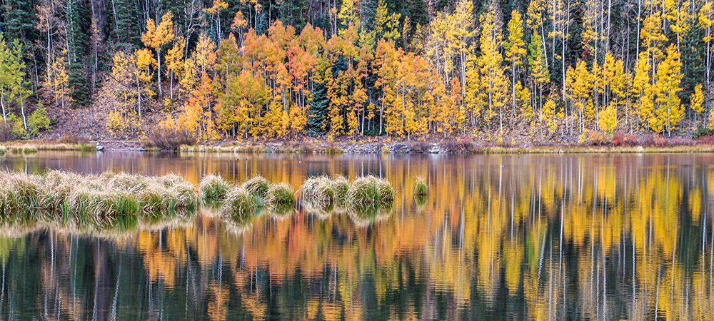 Fall colors, Colorado