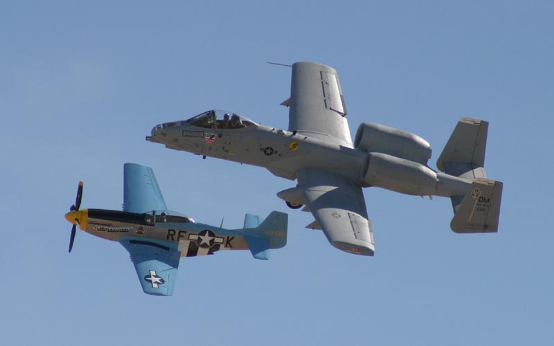 common warthog. Common during Edwards AFB Air