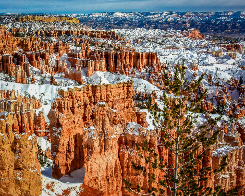 Bryce in Snow 8x10-ib-IMG_2791-2-001