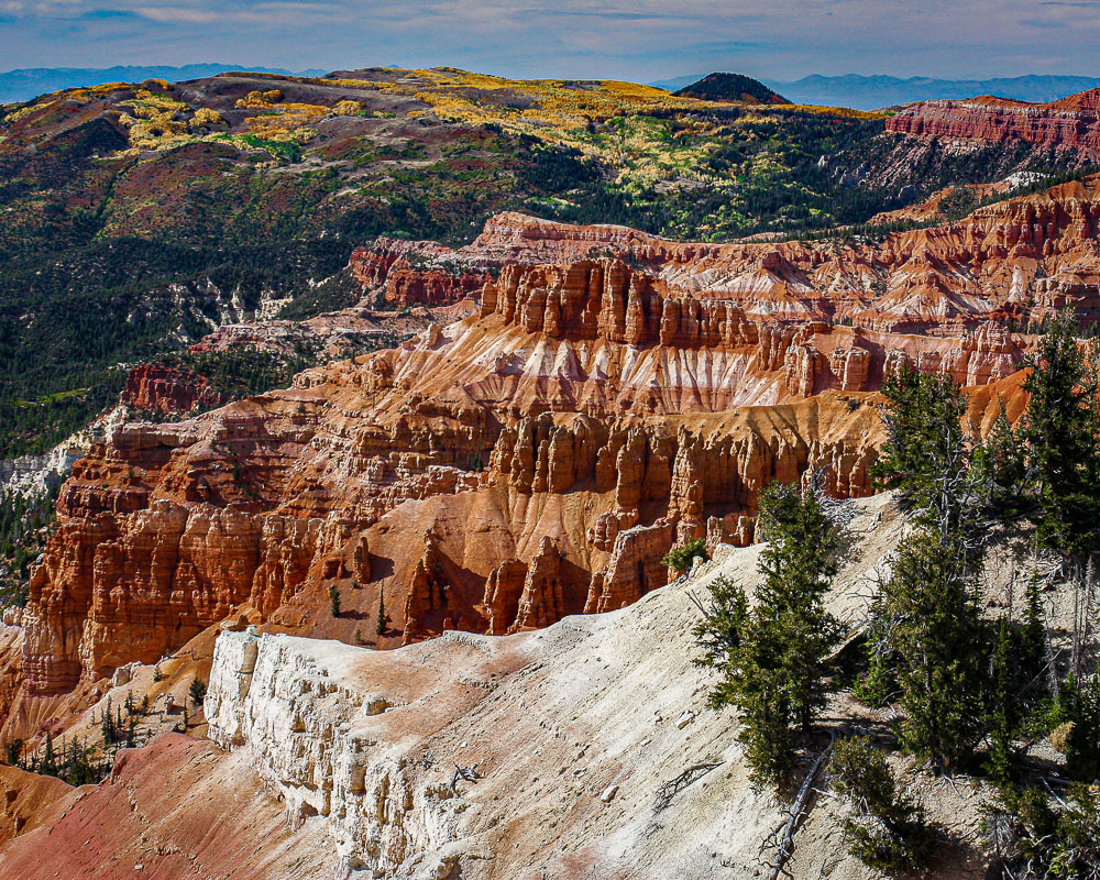 Cedar Breaks Autumn 8x10-ib-IMG_6991-2-001