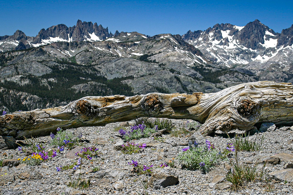 Minaret Summit 2x3-ib-img0033-001