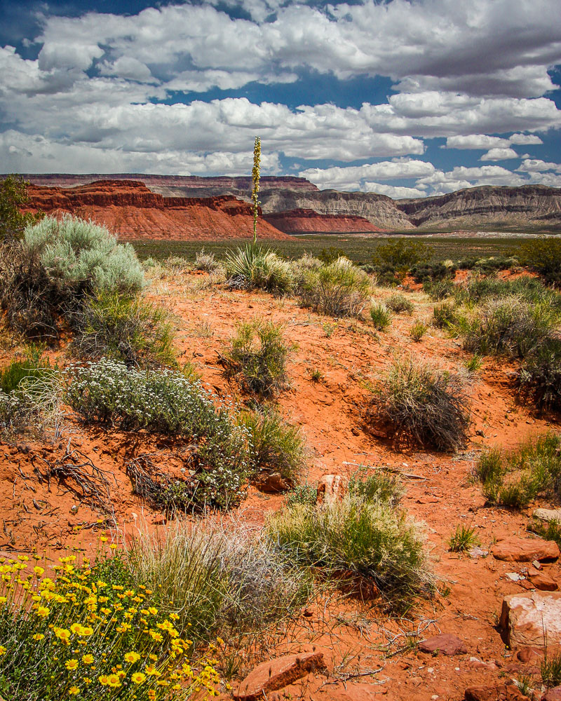 Sand Mountain 2 2x3-ib-IMG_5505-2-001