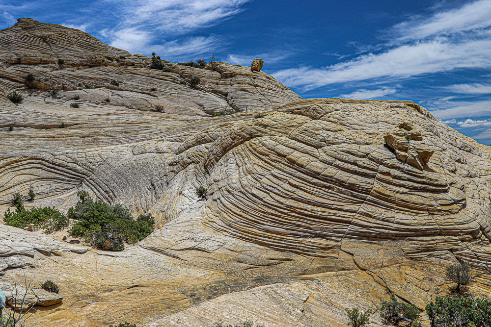 Snow Canyon 1 2x3-ib-IMG_1000-2-001