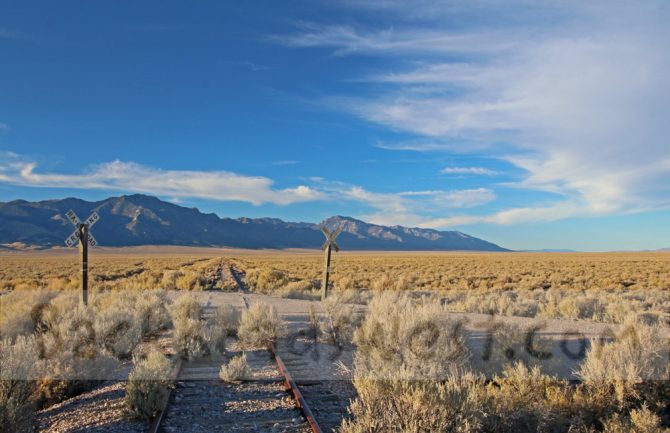 snap nevada snap nevada