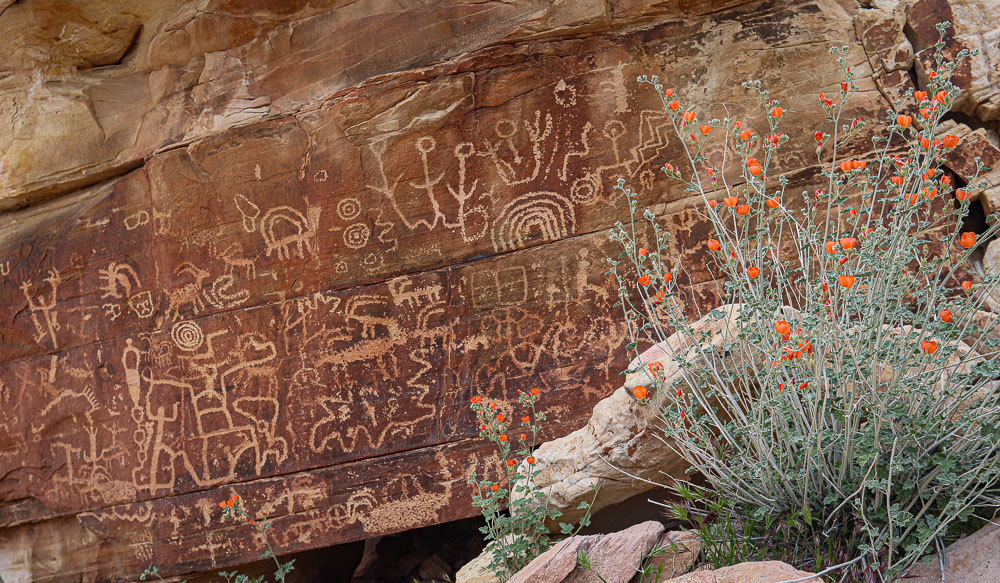 Newspaper Rock 16x24-ib-IMG_2137-001