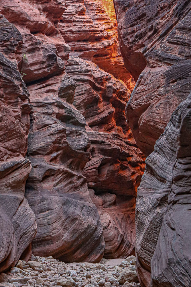 Buckskin Gulch 16 x 24-ib-Canon EOS Rebel T7i20191109-IMG_1457-001