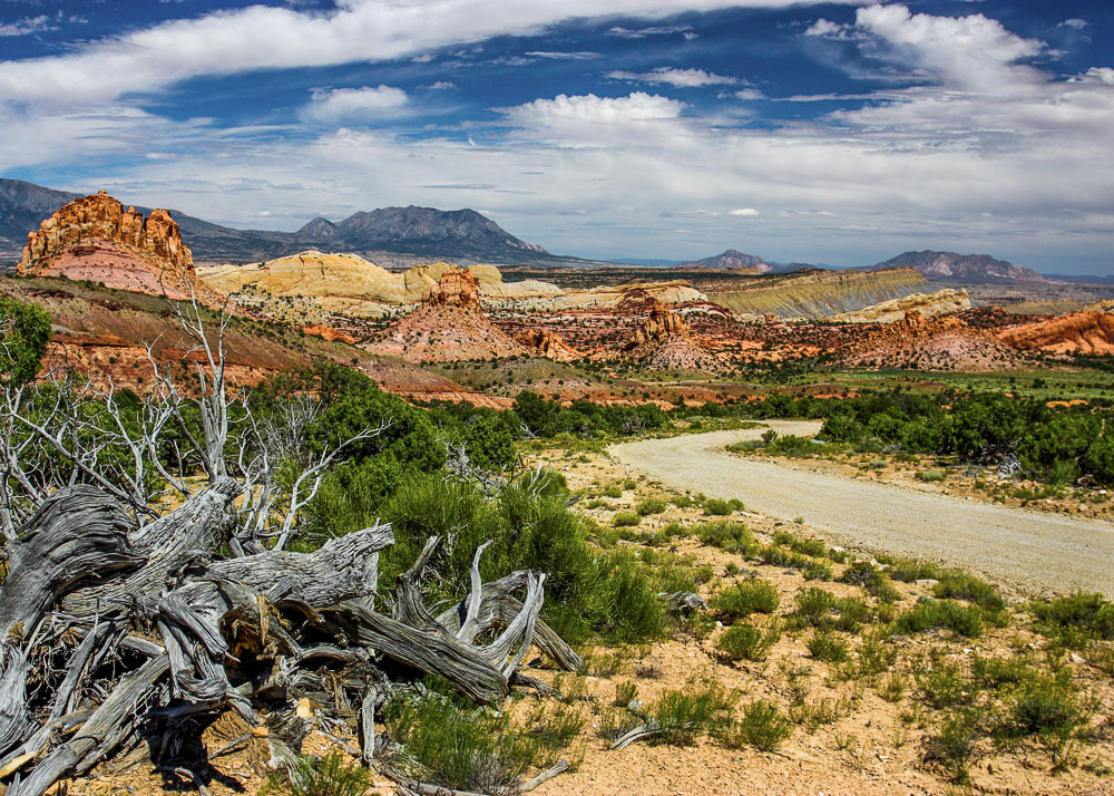 Burr Trail 1 2x3-ib-IMG_9480 5x7-001a