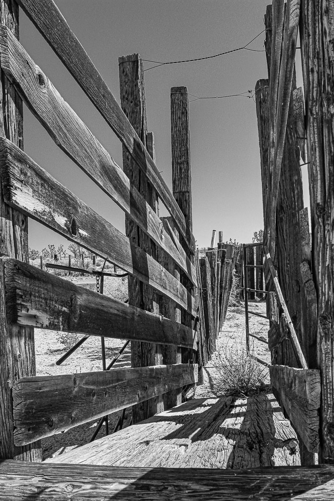 Cattle Chute 11x14-ib-IMG_8017-001a