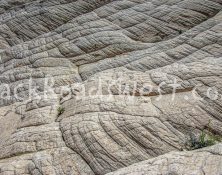 White Navajo Sandstone in Snow Canyon Utah