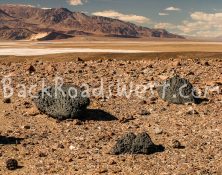 StockDeath-ib-img0028-2-003