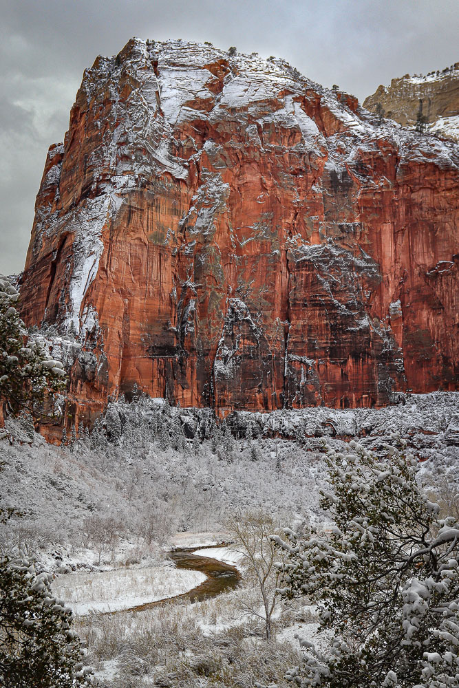January in Zion 2x3-ib-IMG_3350-001