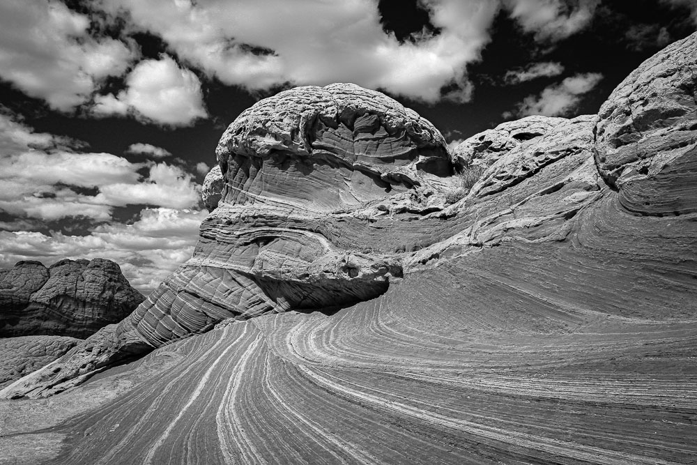 White Picket B&W 2x3-ib-IMG_3757-001